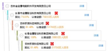 吉林省金鷹電腦軟件開發有限責任公司 專業計算機軟件開發服務